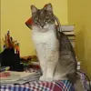 Отзыв от Жанна Ильина